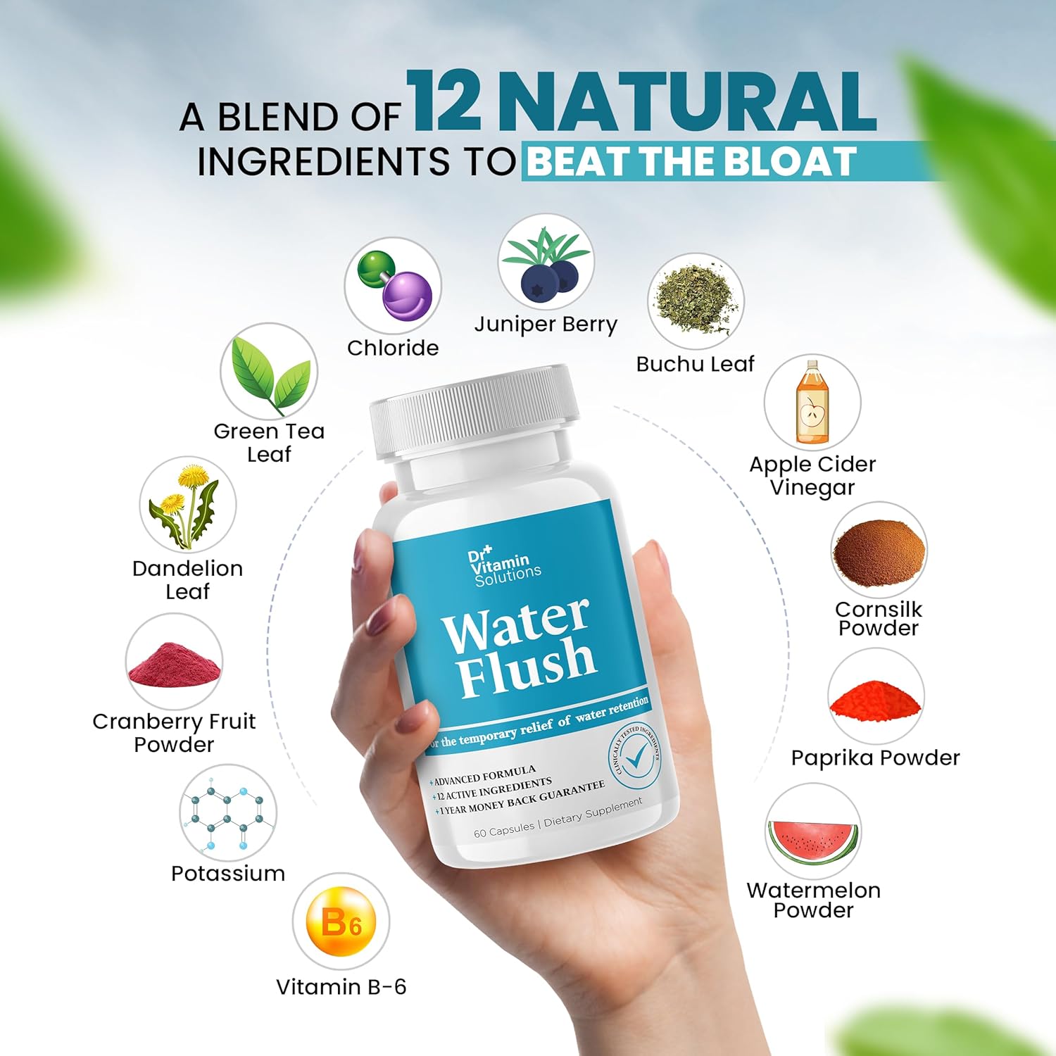 Dr Vitamin Solutions Water Flush 60 Capsules for Temporary Relief of Water Retention with Green Tea Cranberry & Dandelion Leaf Extract Gentle Support for Bloating Swelling Probiotic Prebiotic Formula - Healthcare