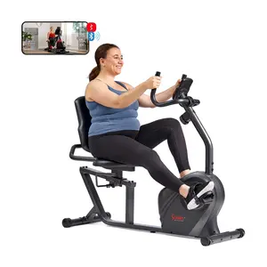 Sunny Connected Recumbent Bike
