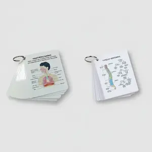 Human Anatomy & Skeletal System Flashcards Bundle, 2 Sets White Paper Cards with Front and Back Views, Medical Study Guide for Students and Nurses