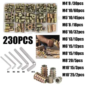 230-Piece Embedded Nut Set (m4/m5/m6/m8/m10), Hex Driver Nuts, Zinc Alloy Material, Includes Storage Box, Ideal for DIY Projects