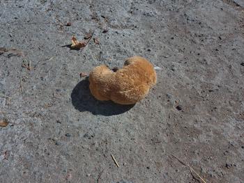 product review image from Kat Taylor Hopkins 0