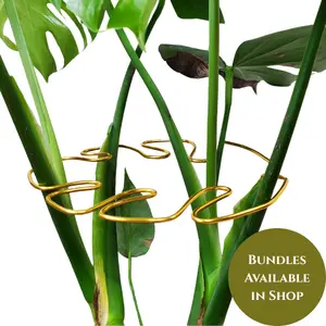 Large Plant Wrap Leaf and Stem Support, Perfect Keeping Stems Upright, Neat, and Tidy, Handmade Aesthetically Pleasing