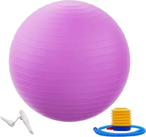 Anti-Burst and Slip Resistant Exercise Ball 2000-Pound Capacity with Quick Pump 1.64Kg 10X9X6 Fitness Support Stability
