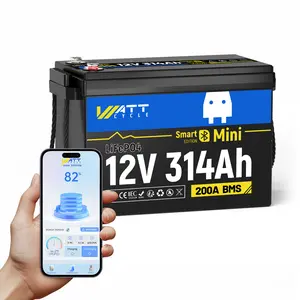12V 314Ah Mini LiFePO4 Lithium Battery with Bluetooth 5.0, 200A BMS, 4.01kWh Energy, Upgraded Aluminum Cooling Fins & Braided Copper Wires, for RV, Marine, Home Energy Storage