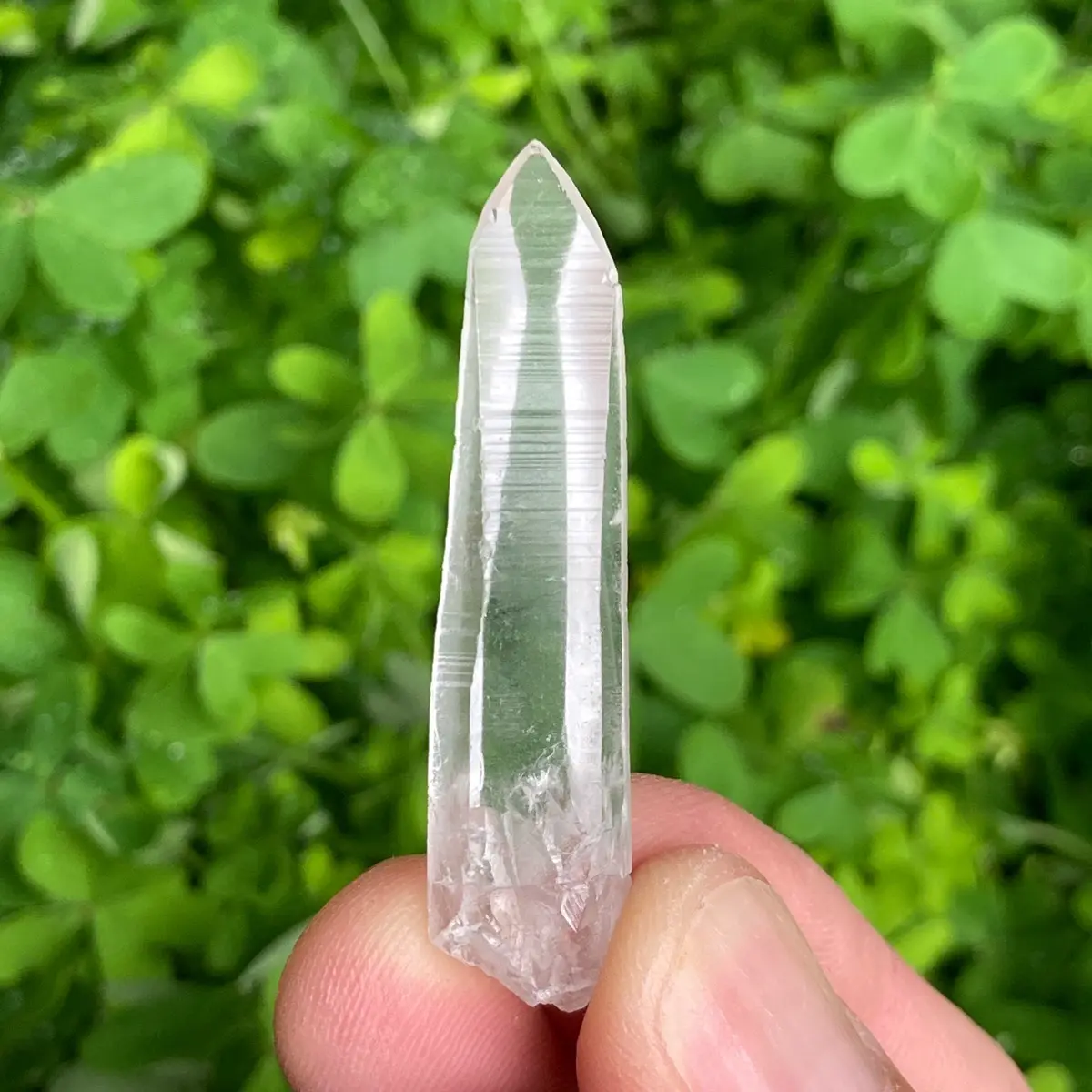 Lemurian Seed Crystal • 2 Inches / 8 Grams
