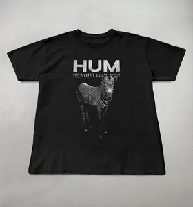 Hum shirt, 90s band tees, Hum graphic tee, alt rock shirt, you'd prefer an astronaut album tee, Unisex, grunge shirts, Hum band tee