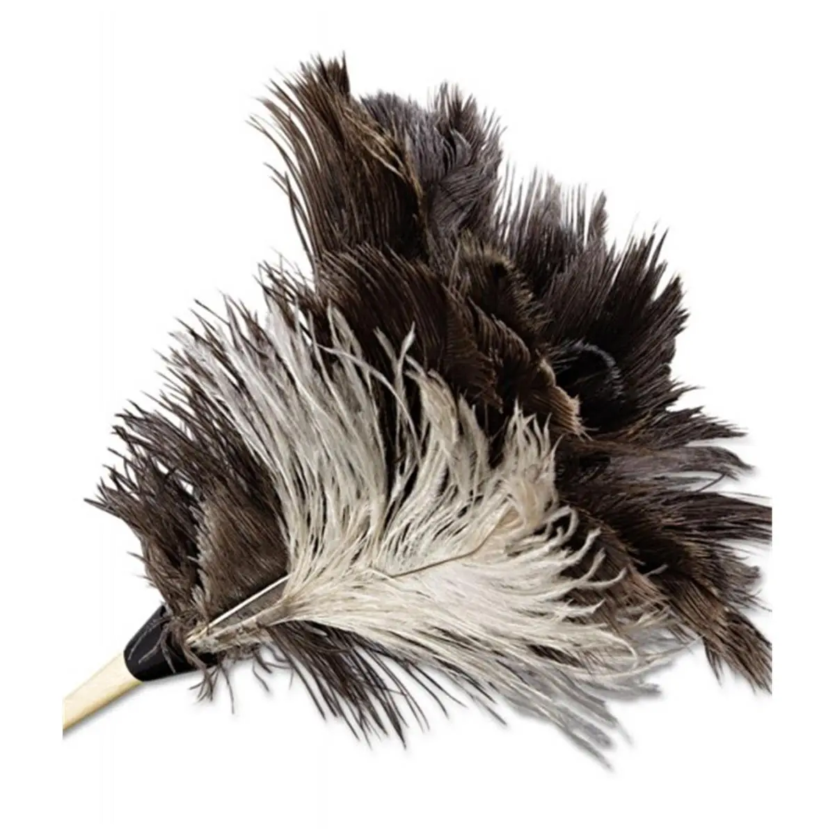 212 MAIN Professional Ostrich Feather Duster - 7 in. Wood Handle, Natural Dust-Attracting Handheld Household Cleaning Tool