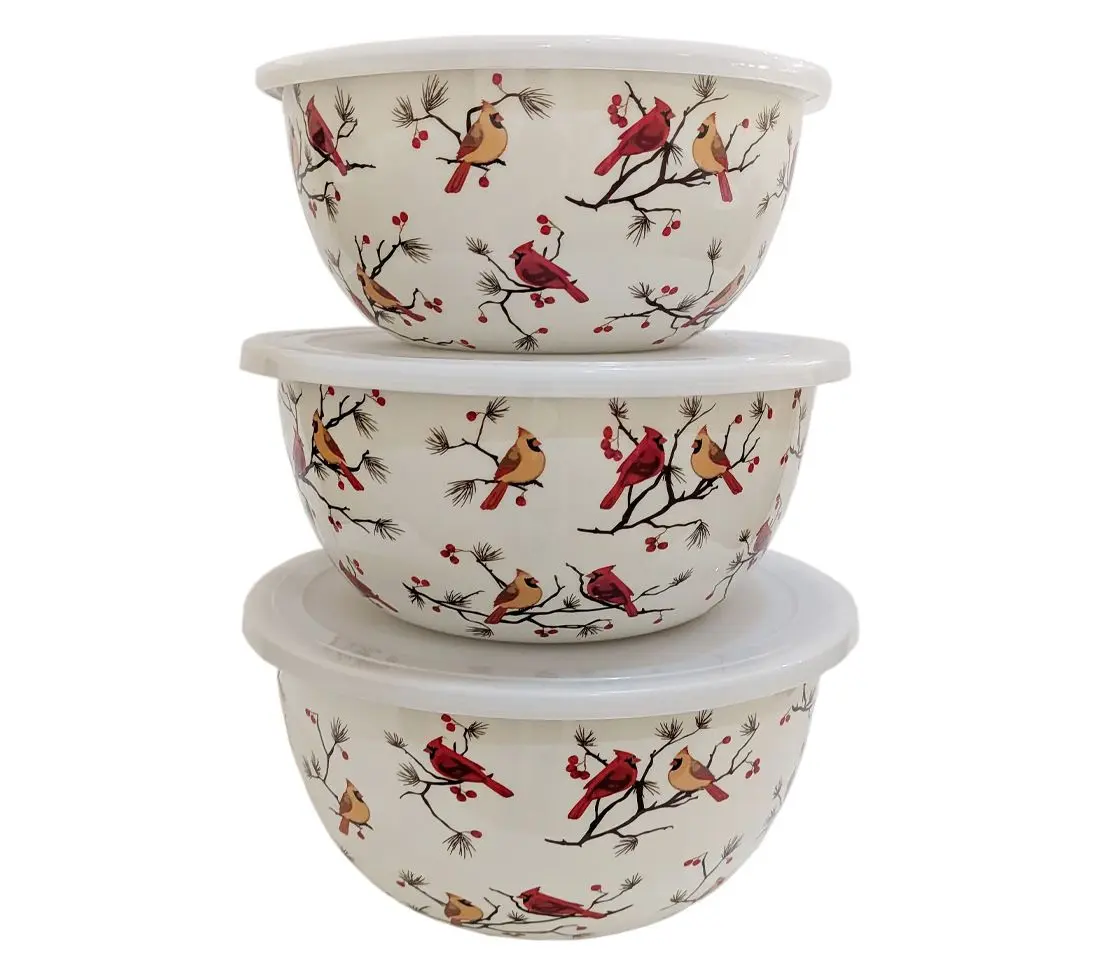 QVC Seasonal 3-Piece Stainless Steel Kitchen Bowls Set with Lids for Camping, Hiking, Picnic Use