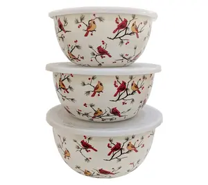 QVC Seasonal 3-Piece Stainless Steel Kitchen Bowls Set with Lids for Camping, Hiking, Picnic Use