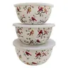 QVC Seasonal 3-Piece Stainless Steel Kitchen Bowls Set with Lids for Camping, Hiking, Picnic Use