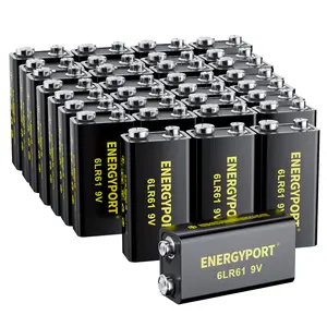 ENERGYPORT 9V Batteries 32 Pack, 6LR61 Alkaline Power 9 Volt Battery with 10-Year Shelf Life Long-Lasting Batteries for Smoke Detector, Electronics Device