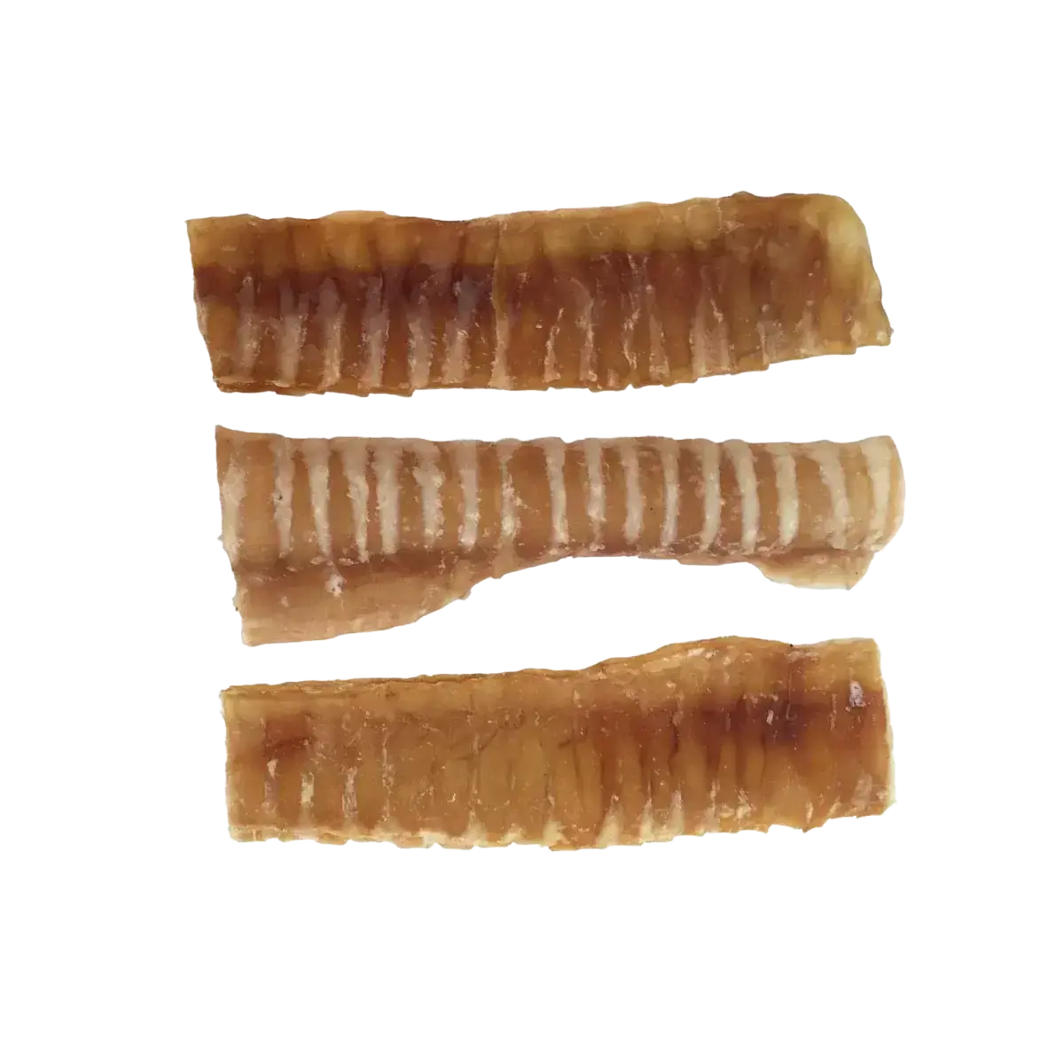 6" Trachea Flats