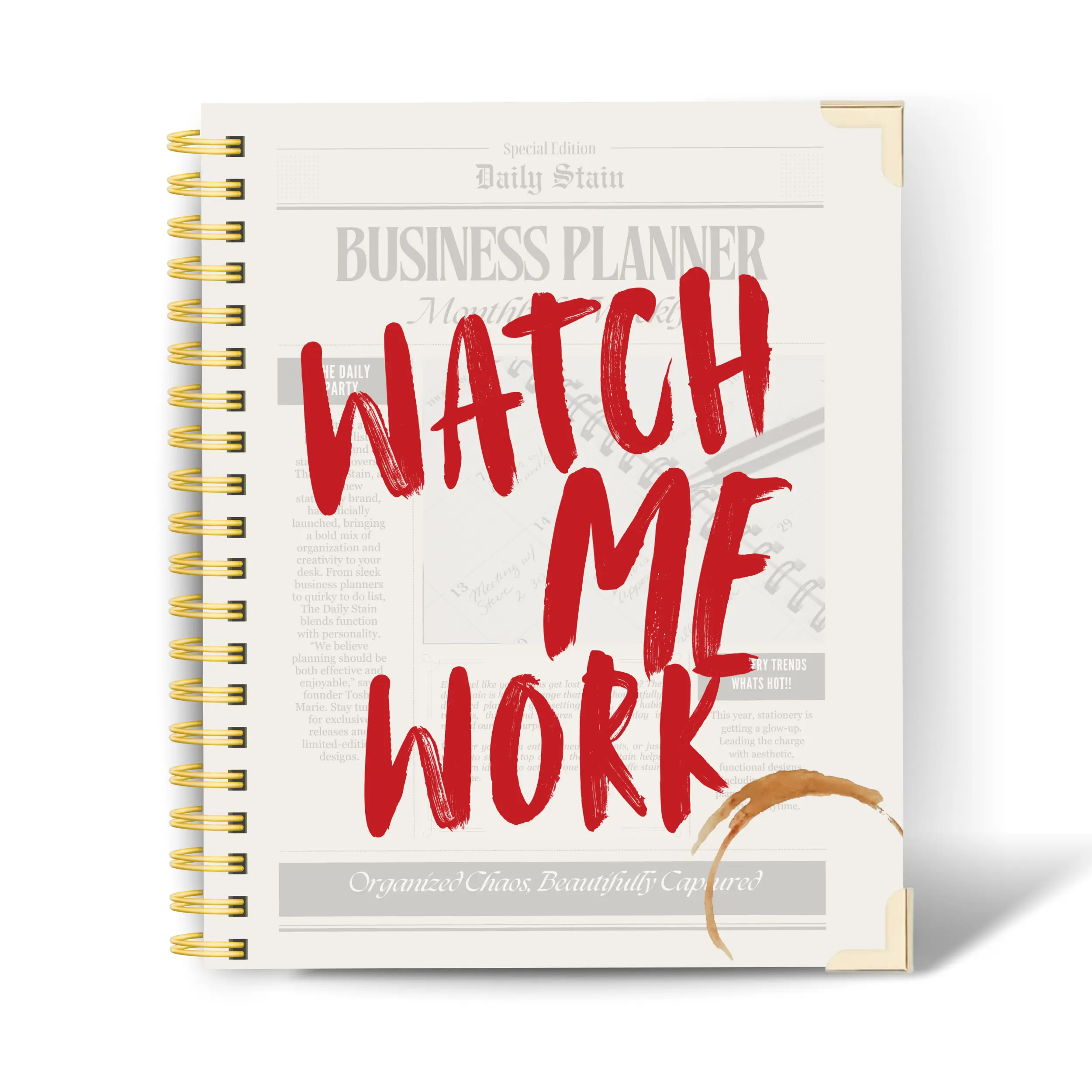 Daily Stain Undated Business Planner | Entrepreneur Goal Planner, Productivity Tracker & Success Workbook