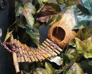 Coconut Hide with Bamboo Bridge (Great for Crested Geckos, Leopard Geckos, Tree Frogs, Younger Cornsnakes and Hermit Crabs under 2")
