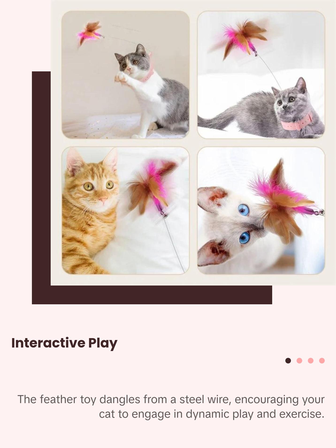 Feather Teaser Wand with Bell & Collar