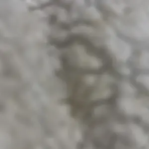 Fashionable Zipper Design Boots, Casual Comfortable Boots for Daily Wear, Trendy All-match Boots for Girls