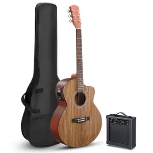 41" Walnut Top Acoustic Guitar with 15W Amp, Bag, Tuner, Strings & Accessories