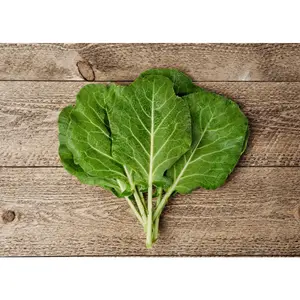 Morris Heading - Collard Seeds