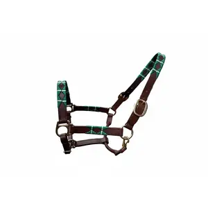The Pampa - Rowan - Premium Polo-Style Leather Halter