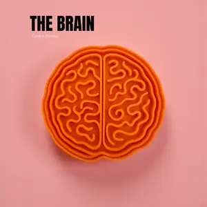 Brain Cookie Cutter + Stamp