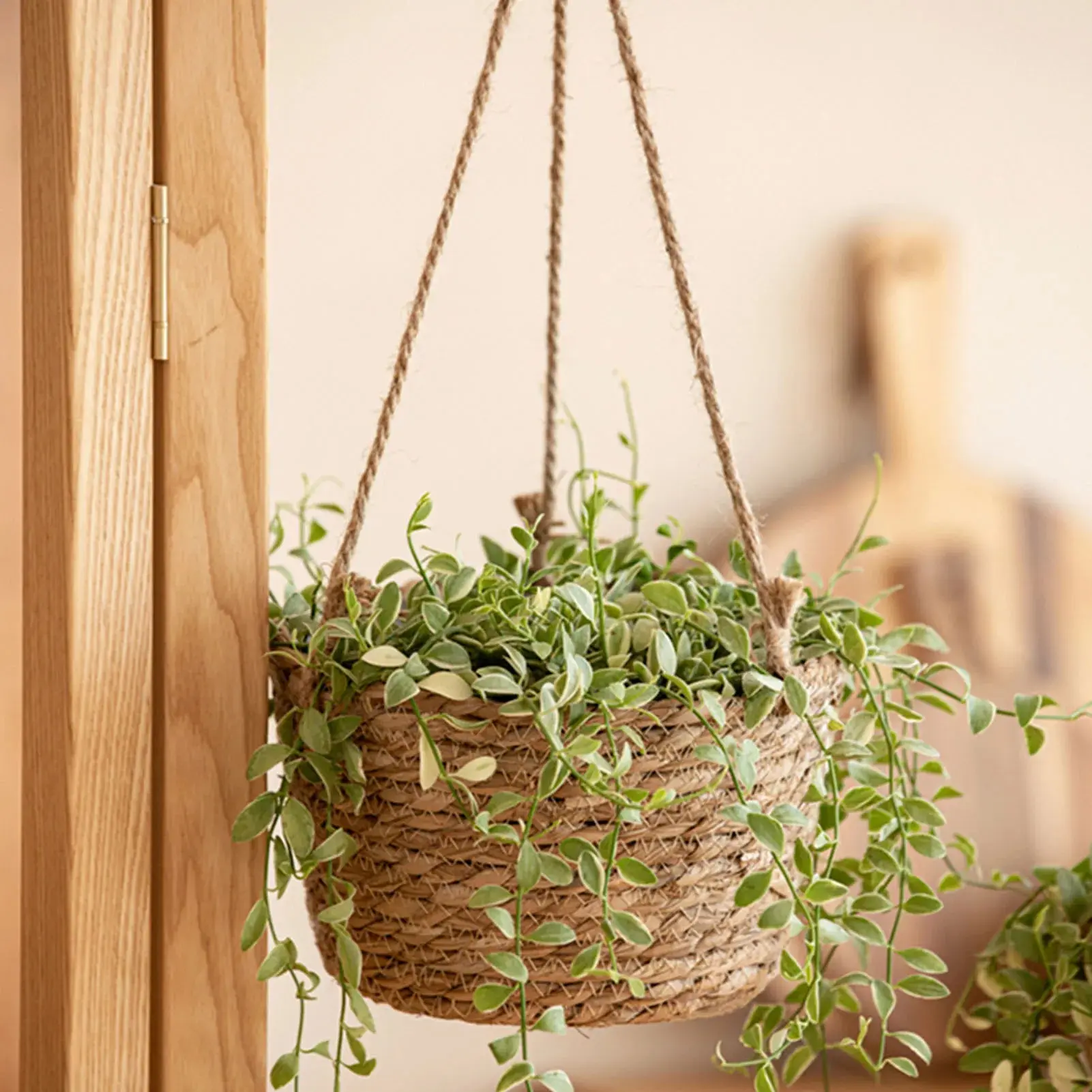 Hanging Woven Planter Basket