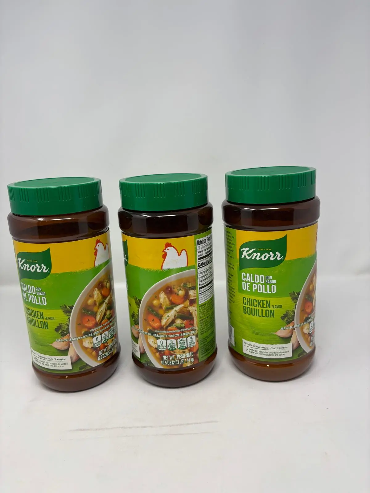 knorr Chicken Bouillon Flavor Seasoning