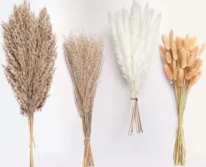 100 Stems Dried Pampas Grass Boho Table Decor Natural Reed Phragmites Fluffy Large Bunny Tails Flowers Bouquet for Wedding Floral Arrangements Farmhouse Home Wall Rustic Party