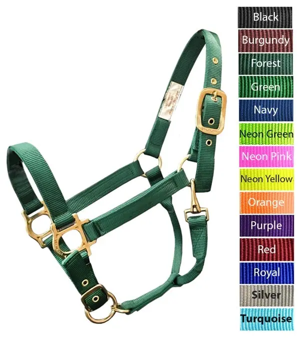 Valhoma 3360-NP-L BACS Equestrian Halter - Neon Pink, Large Size, 1100-1500 lbs Capacity, Adjustable Fit