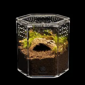 PRE ORDER - 5" Hex Crib (3 weeks)