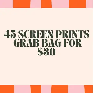 Screen Print Transfers 45 Assorted Designs Grab Bag for $30