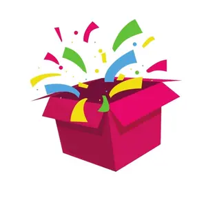 Surprise Pack of 100 1st Quality 10 x 13 Poly Mailers