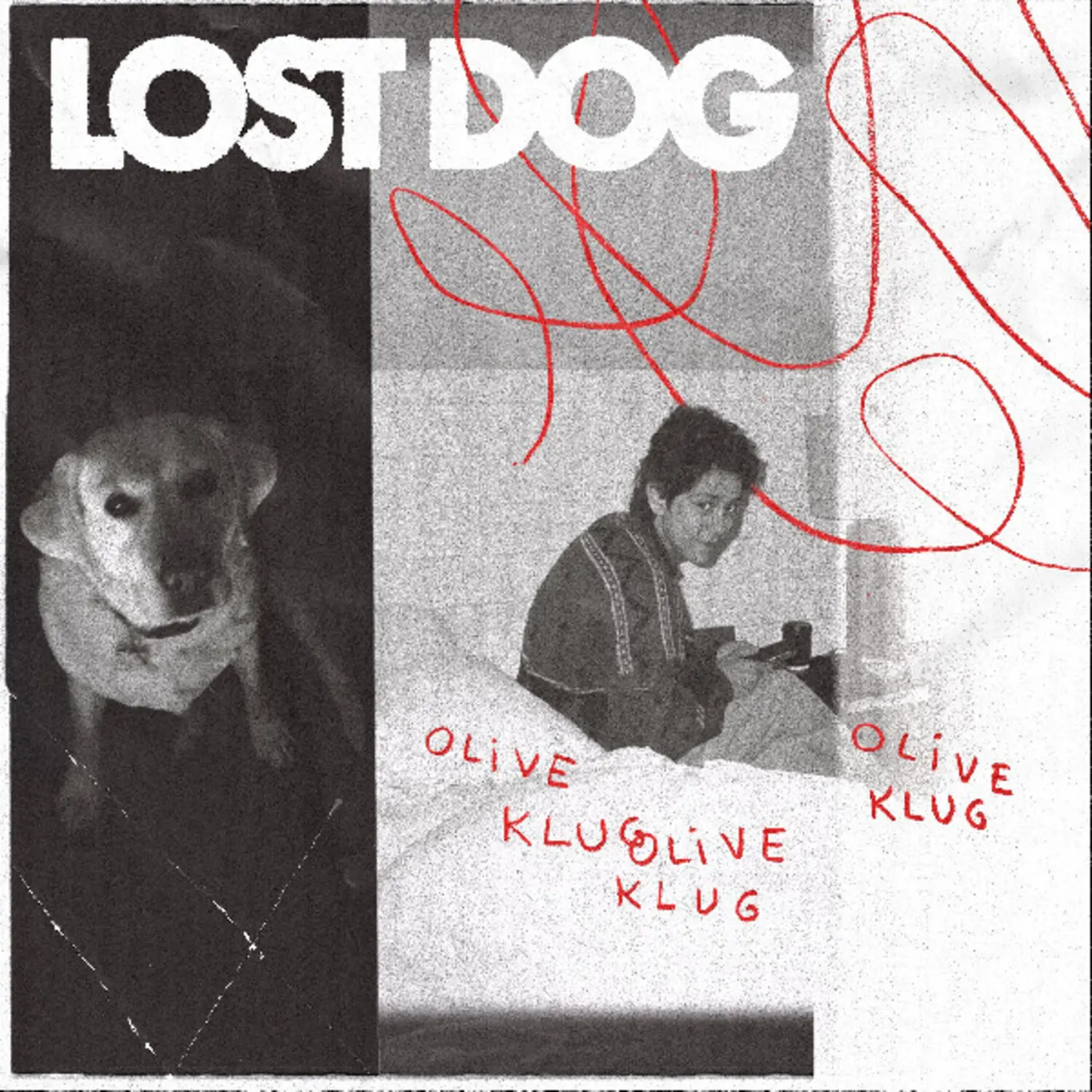 Olive Klug - Lost Dog  [COMPACT DISC - CD]