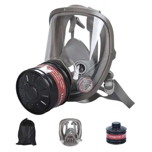 Factory Wholesale 6800 Anti-Toxic Mask, Spray Paint Chemical Pesticide Dust Protection Face Shield, Industrial Safety Equipment, High-Quality Respirator