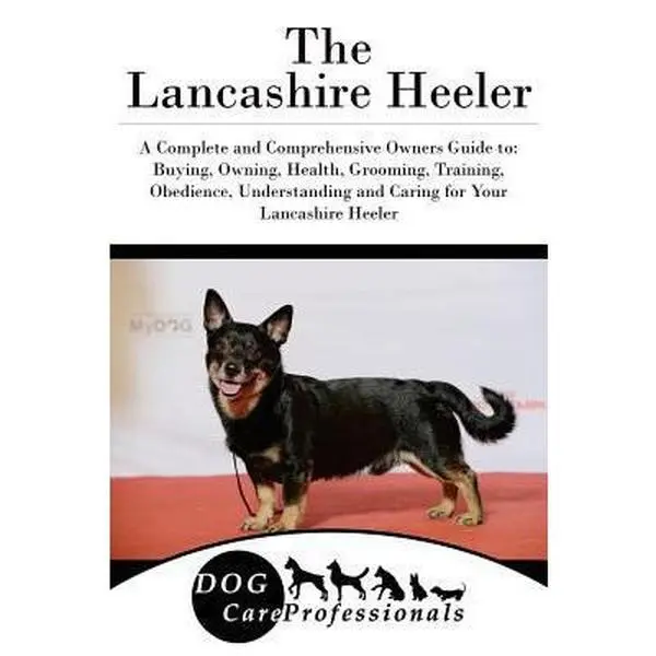 USED-The Lancashire Heeler: A Complete and Comprehensive Owners Guide To: Buying, Owning, Health, Grooming, Training, Obedience, Understanding and by Care Professionals, Dog (Paperback)