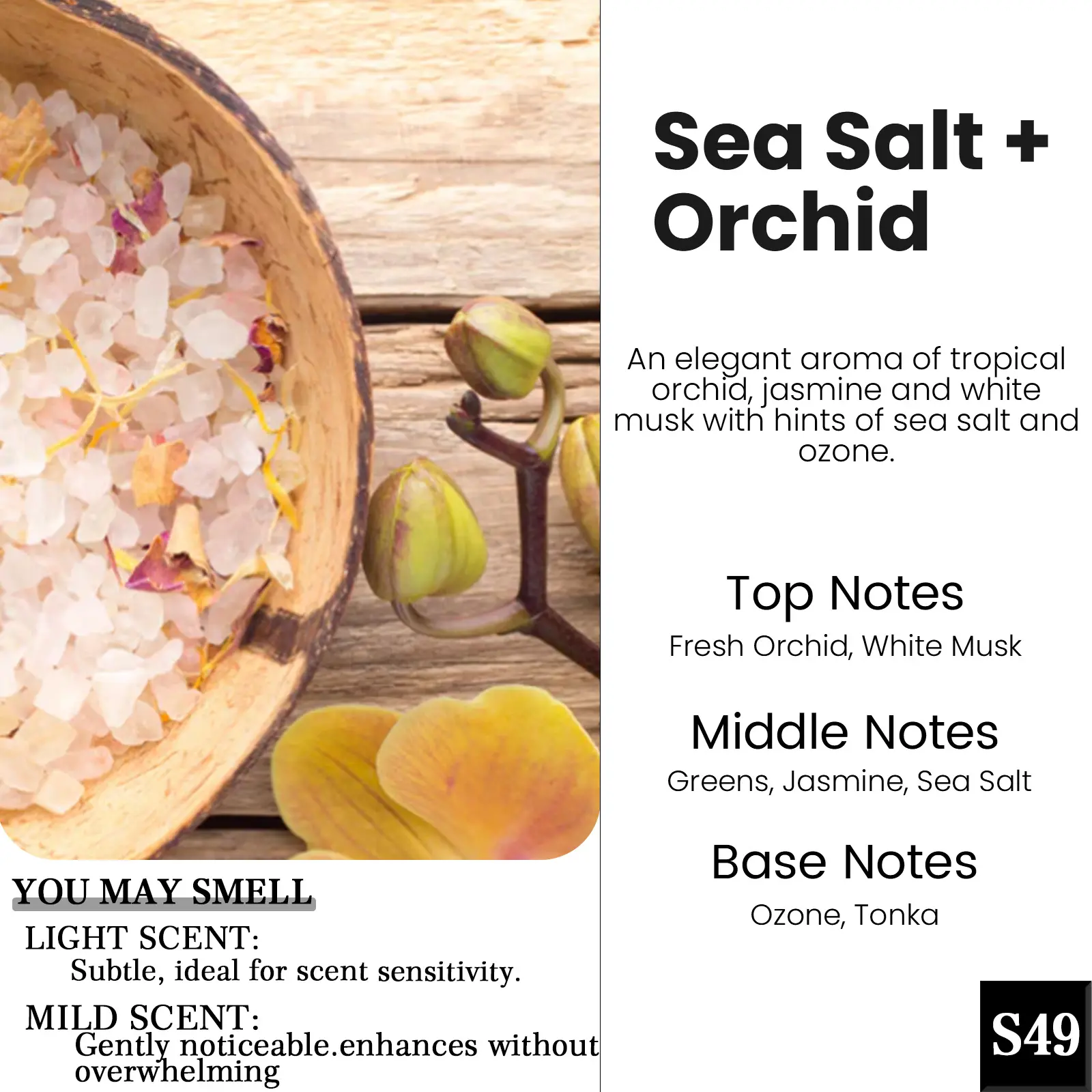 S49-Sea Salt + Orchid 