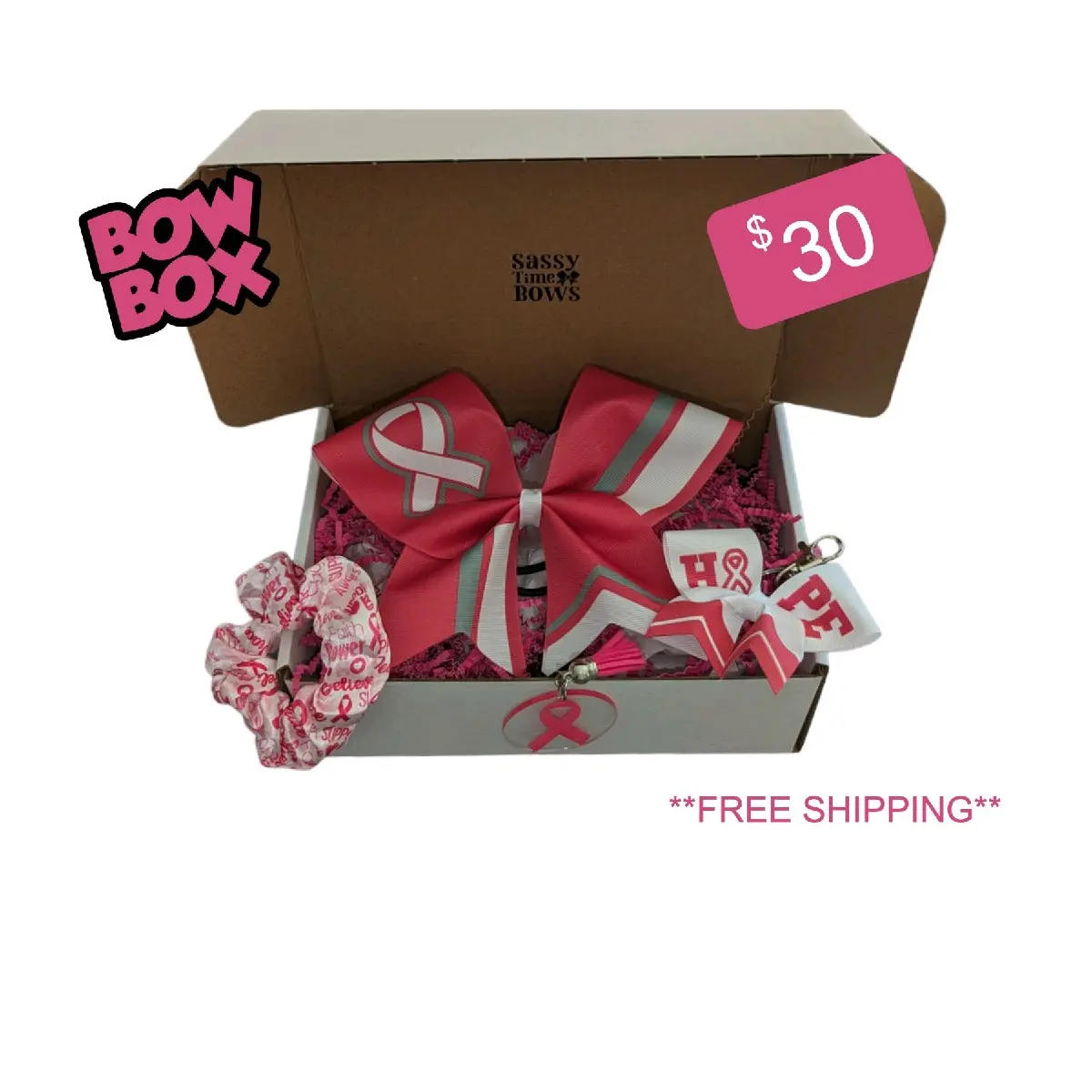Breast Cancer Awareness - Cheer Bow Box - Pink Bows