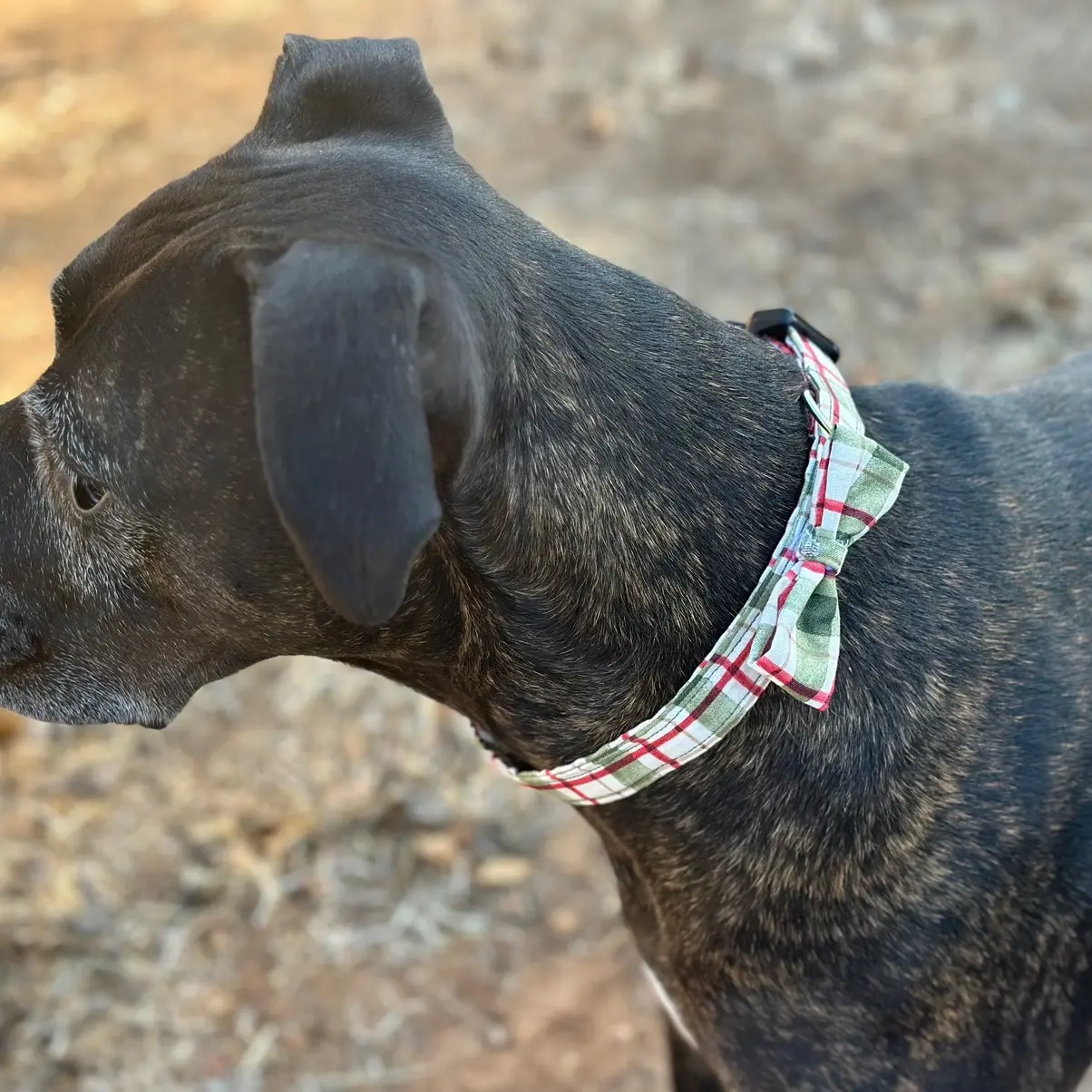 Christmas Plaid Bow Collar