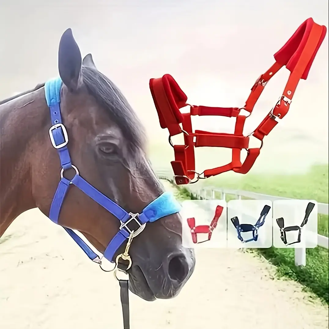 Solid Color Horse Bridle, Adjustable Equestrian Headstall with Durable Metal Hardware, Essential Riding Gear for Horses, No
