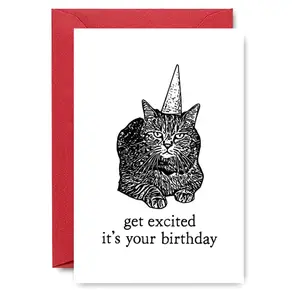 Cat in Hat Design Birthday Card, 1 Count Funny Birthday Greeting Card with Envelope, Birthday Gift for Cat Lovers, Friends, Family