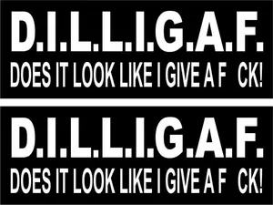 Funny Motorcycle Helmet Stickers Tool Box Decals Trailer ATV Skater Vinyl