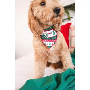 PET BANDANA- FAIR ISLE