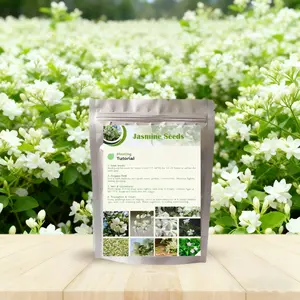 100pcs Jasmine Seeds for Planting, Non-GMO Heirloom,Perennial Garden Bonsai Plant