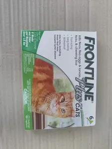 FRONTLINE Plus for Cats and Kittens - 6 Doses，Flea and Tick prevention