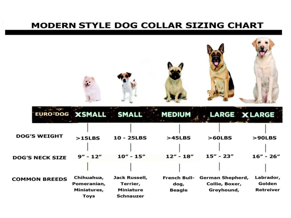 Euro Dog | Celtic Sport Leather Dog Collar with Quick Release Feature and Super Strong YKK Buckles for Active Dogs