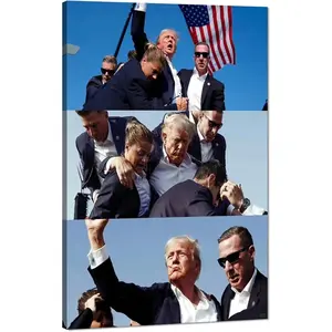 No Framed, 2024 Election  Wall Art Donald Trump Assassination Poster