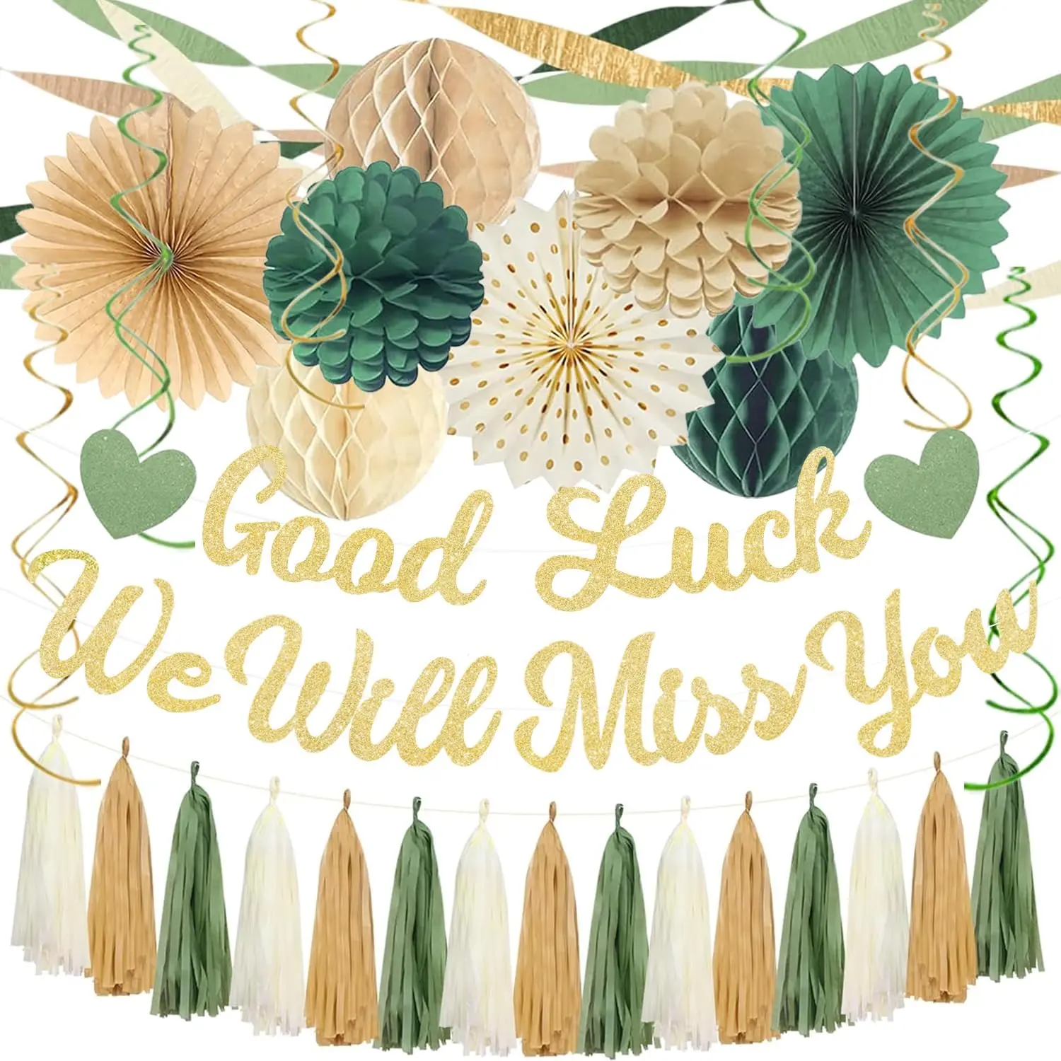 Green Farewell Party Decorations Set - Good Luck We Will Miss You Banner, Crepe Paper Streamers, Honeycomb Balls, Photo Garland Kit for Going Away, Retirement (Festive Home Supplies)