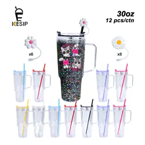 ICESIP 12pcs/carton 30OZ Snow Globe Plastic double wall Snow globe acrylic cups tumbler with coloring lids and straw and silicone straw topper/cover