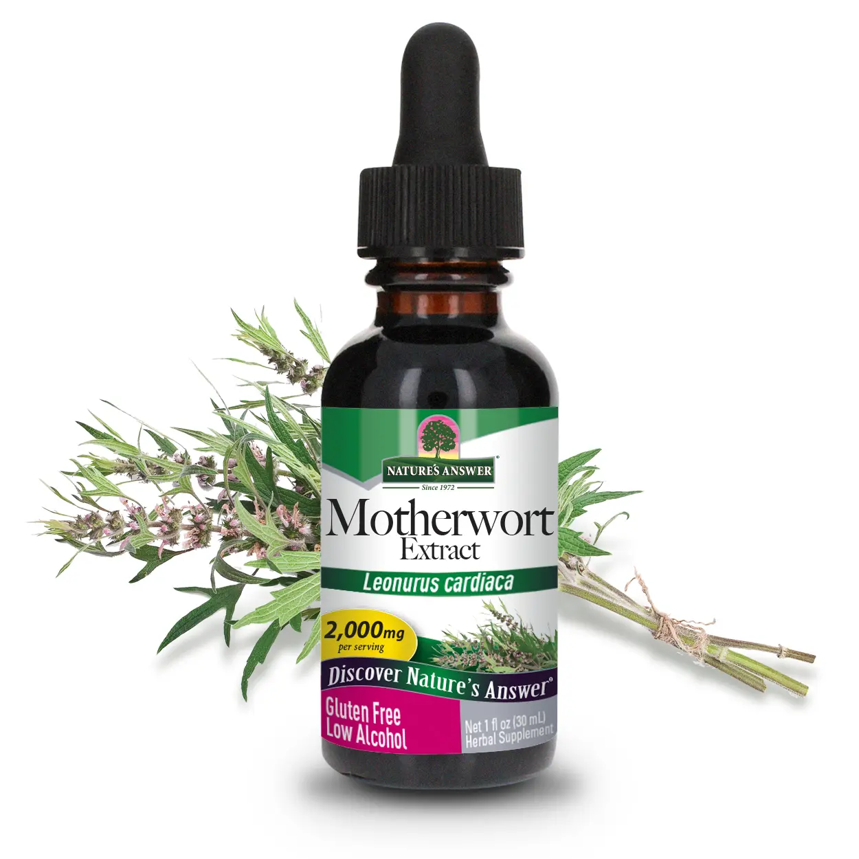 Nature's Answer Motherwort Liquid Herb Drops with Organic Alcohol, 1-Fluid Ounce | Cardiovascular Support | Blood Pressure Support | Mood Support | Single Count