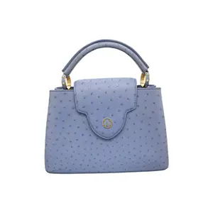 Pre-owned Louis Vuitton Canvas Shoulder Bags Capucines Handbag