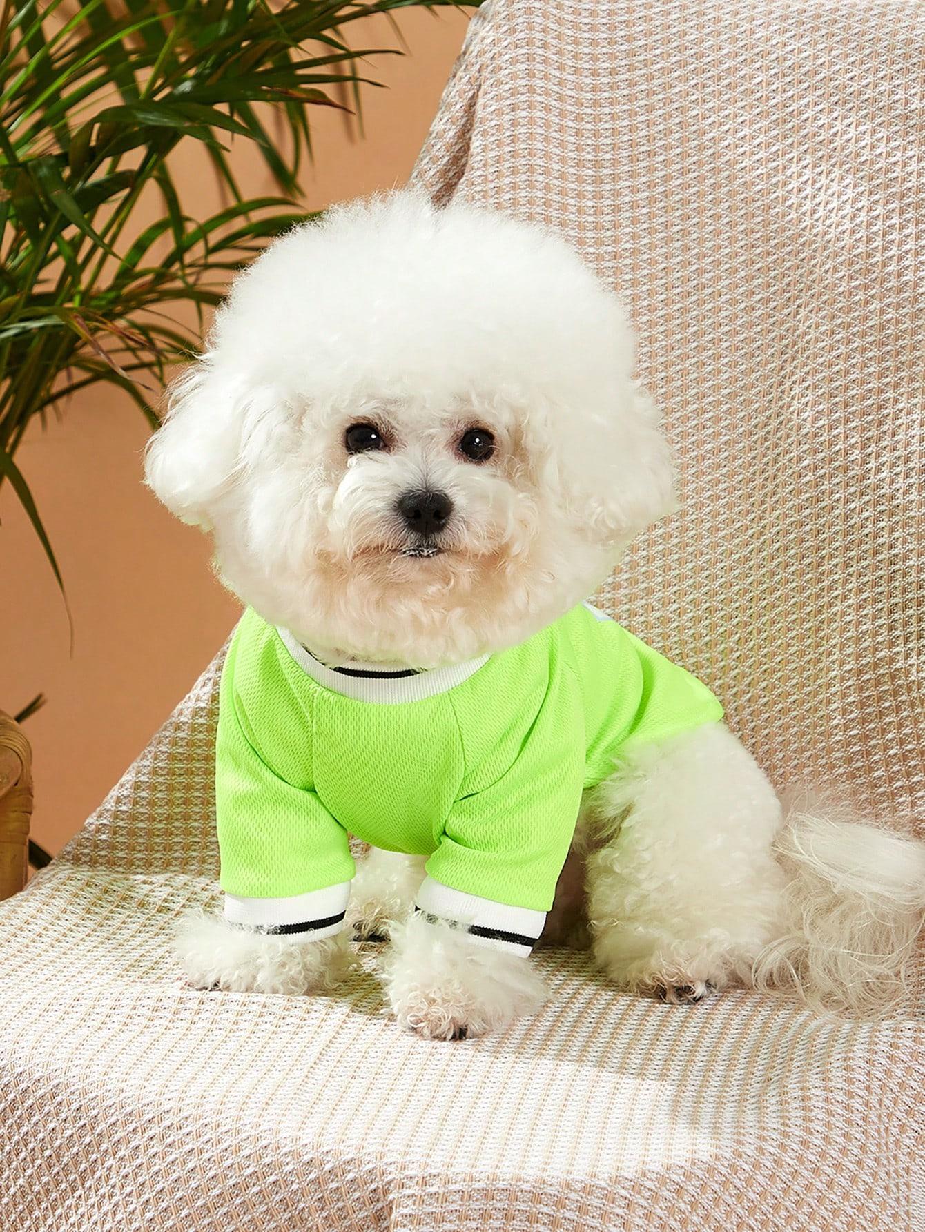 AESS x PETSIN Polyester Dog & Cat T-Shirt, Cute Print & Letter Stripe, Lightweight Breathable Multi-Size Spring Summer Pet Apparel